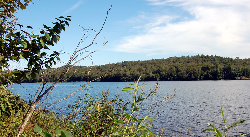 Lakefront + Waterfront Properties