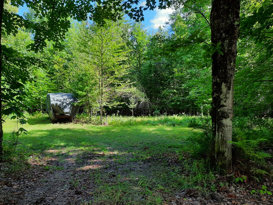 Adirondack  Lot in Wells