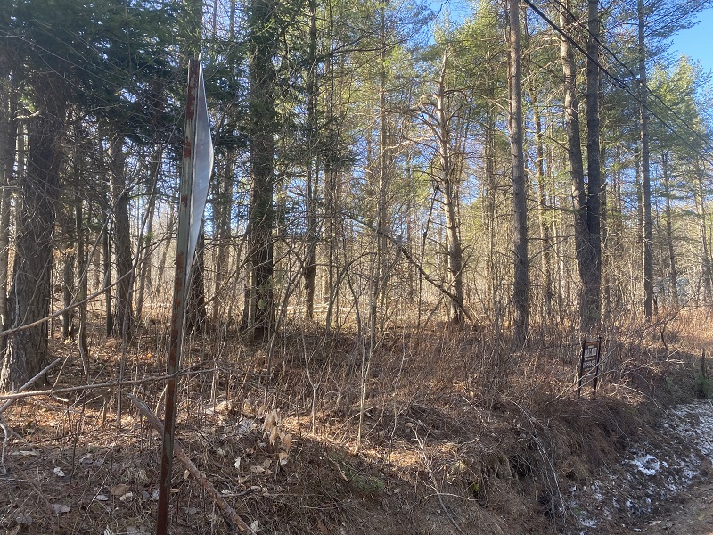 Adirondack Lot in  Speculator