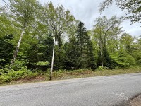 Adirondack Lake Right Lot in  Piseco
