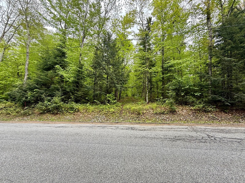Adirondack  Lake Right Lot in Piseco